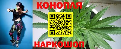 стаф Нягань