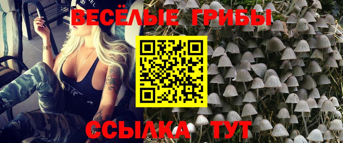 Старая Купавна  Галлюциногенные грибы ЛСД  Галлюциногенные грибы Psilocybe  Вход с VPN 