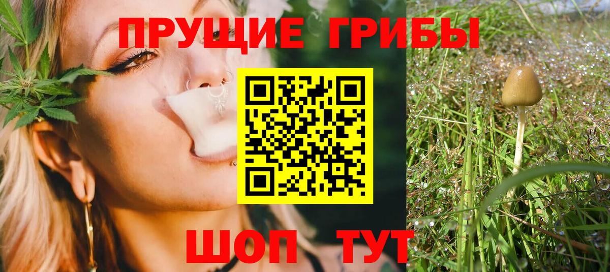 Галлюциногенные грибы MAGIC MUSHROOMS Старая Купавна
